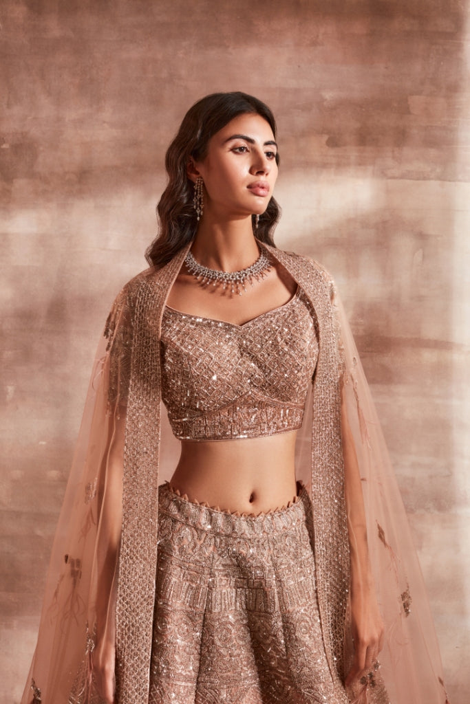 3D Embroidered Lehenga with Blouse and Dupatta – FUELTHESTORE