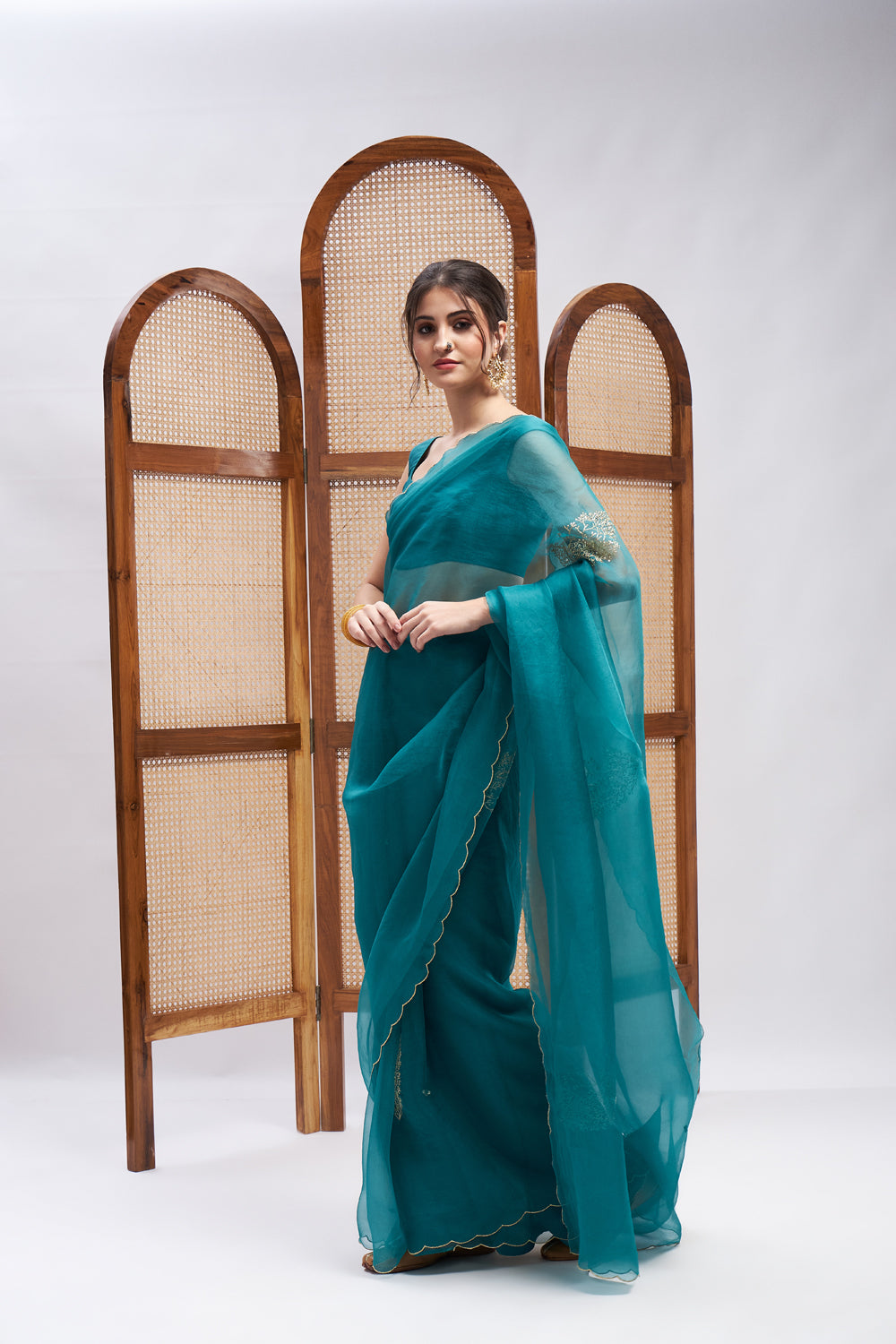 Sultaan Resham Embroidered Saree