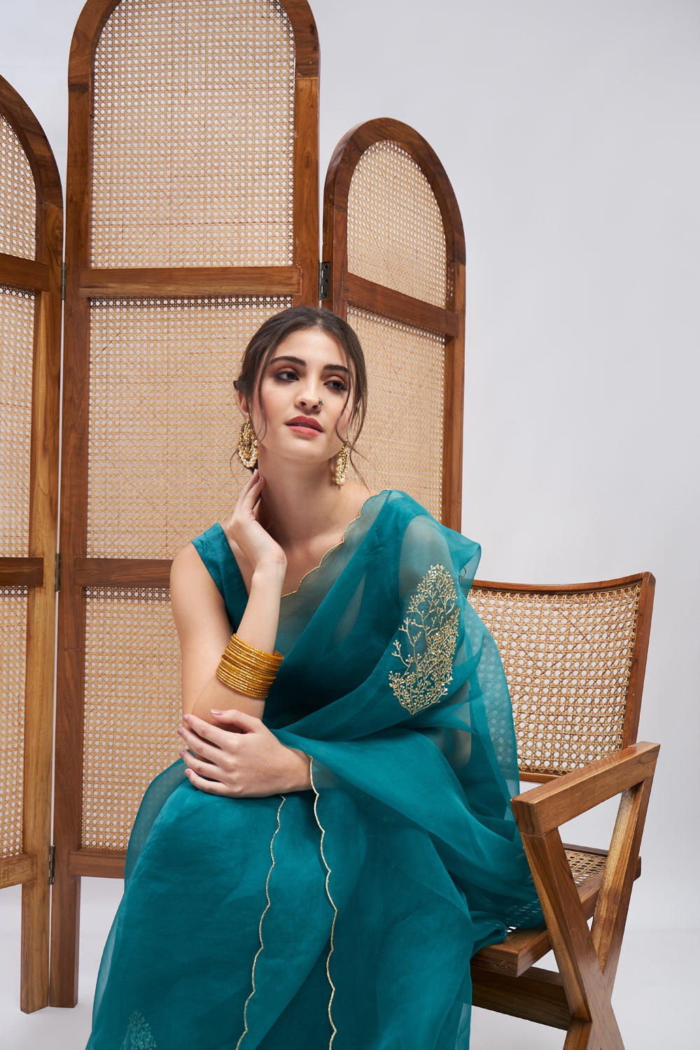 Sultaan Resham Embroidered Saree