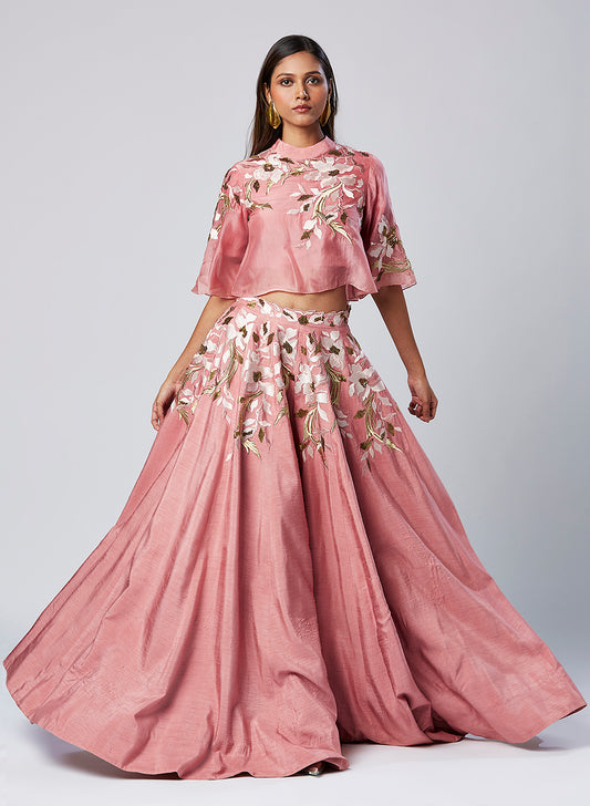 Embroidered Crop Top And Solid Panelled Skirt Set