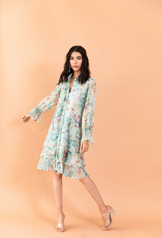 Printed Catmint Buttondown Shirt Dress