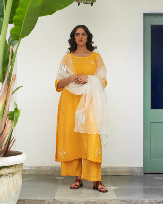 Gul Genda Kurta Set