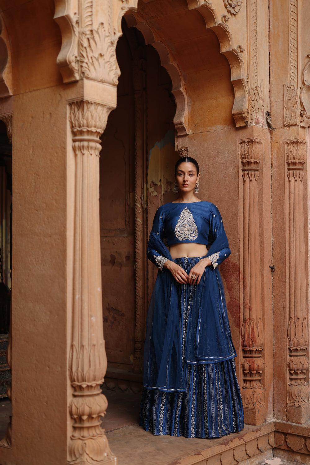 Blue Embroidered And Printed Lehenga Set