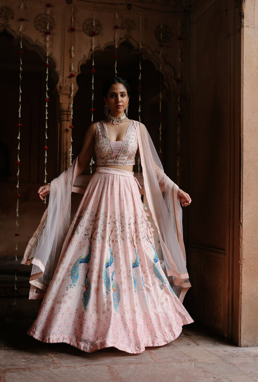 Pink Printed And Hand Embroidered Lehenga Set