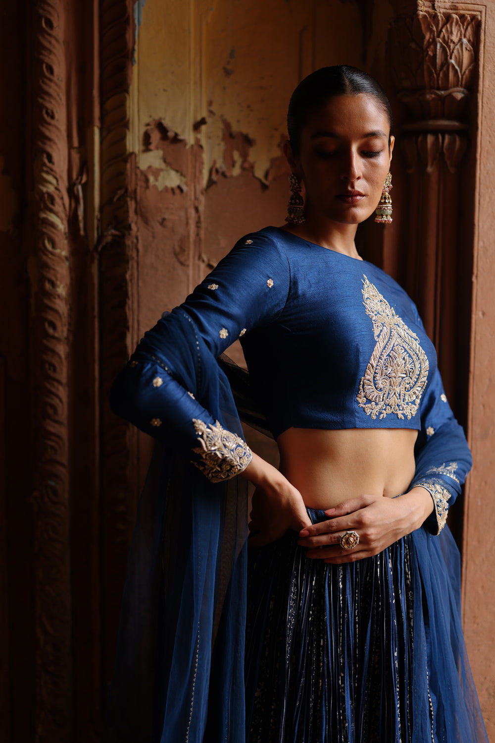 Blue Embroidered And Printed Lehenga Set