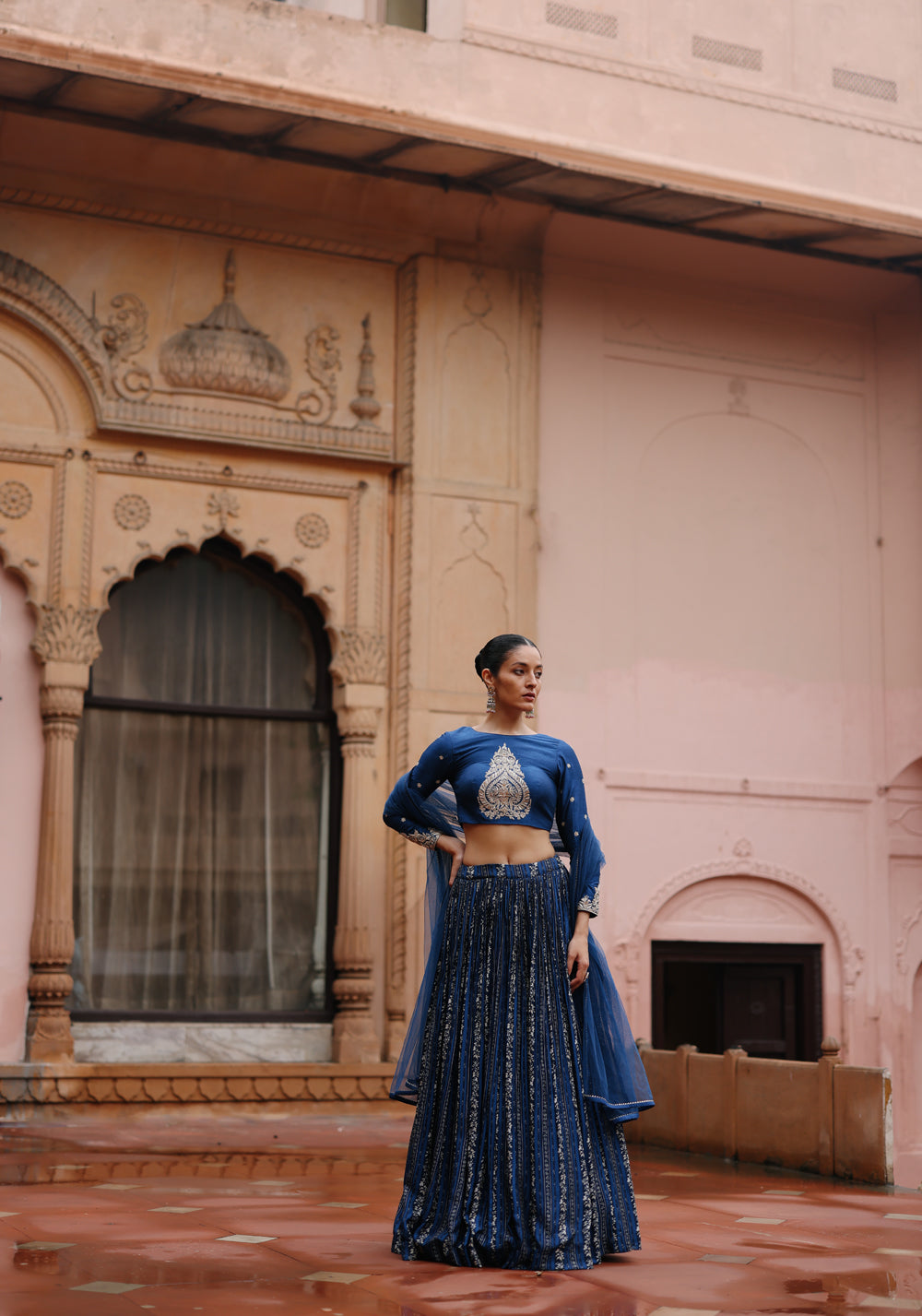 Blue Embroidered And Printed Lehenga Set