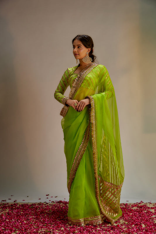 Green Organza Jaal & Lace Hand Embroidered Saree Set