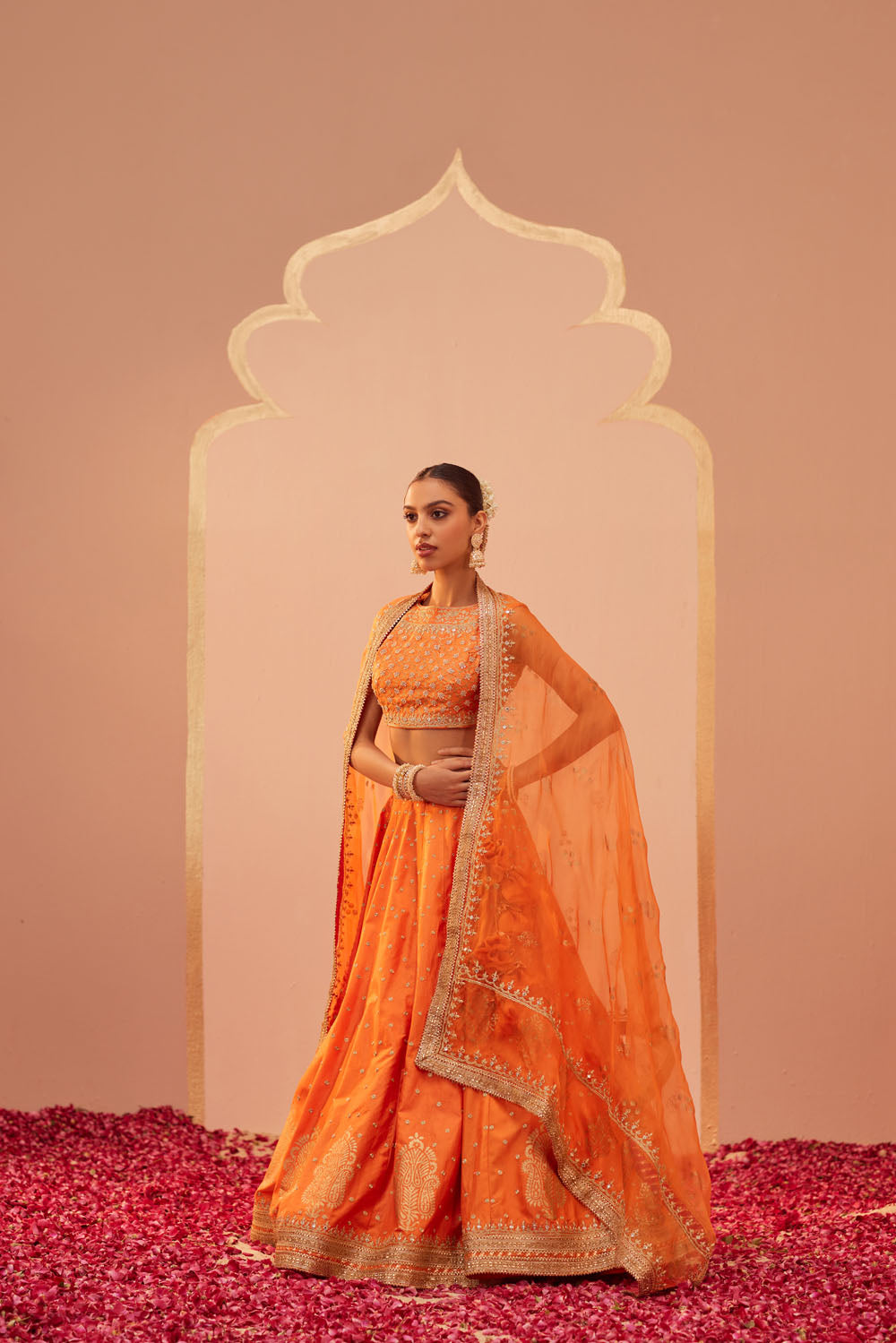 Delicate Embroidered Lehenga Set