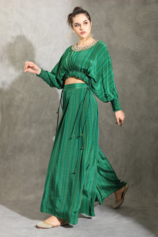 Green Dhari Printed Embroidered Pant Set