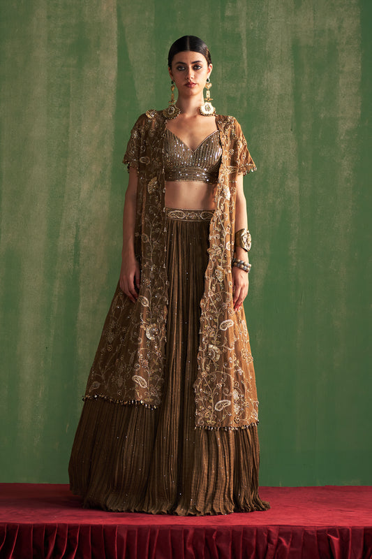 Brown Hand Embroidered Cape Lehenga Set